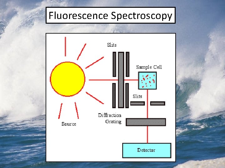 Fluorescence Spectroscopy 