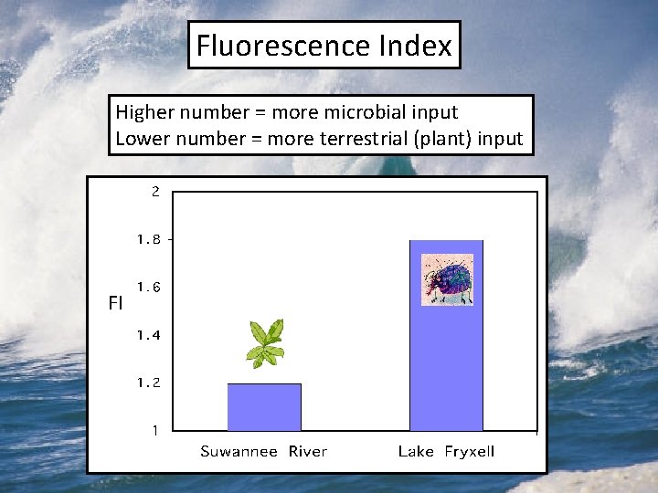 Fluorescence Index Higher number = more microbial input Lower number = more terrestrial (plant)