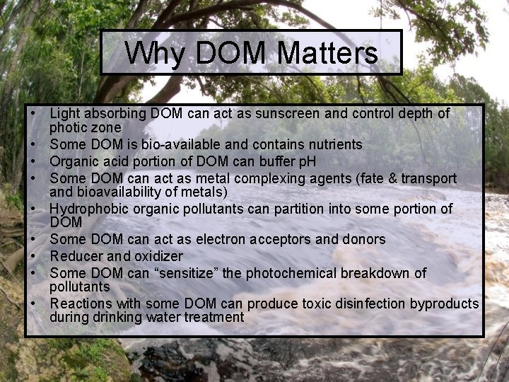 Why DOM Matters • Light absorbing DOM can act as sunscreen and control depth