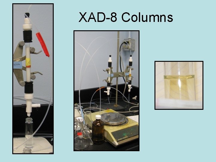 XAD-8 Columns 