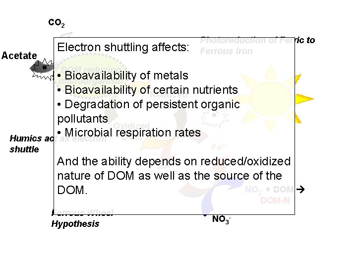 CO 2 Electron shuttling affects: Acetate e- Photoreduction of Ferric to Ferrous Iron DOM