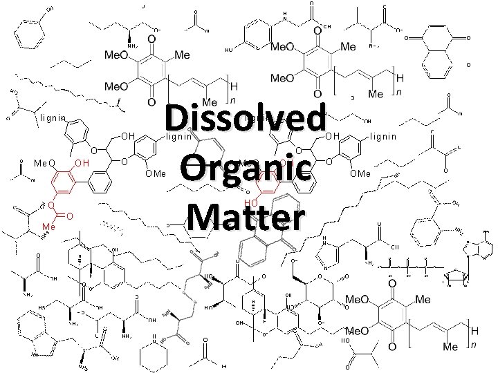 lignin Dissolved Organic Matter lignin OH O Me O OH lignin OH O O