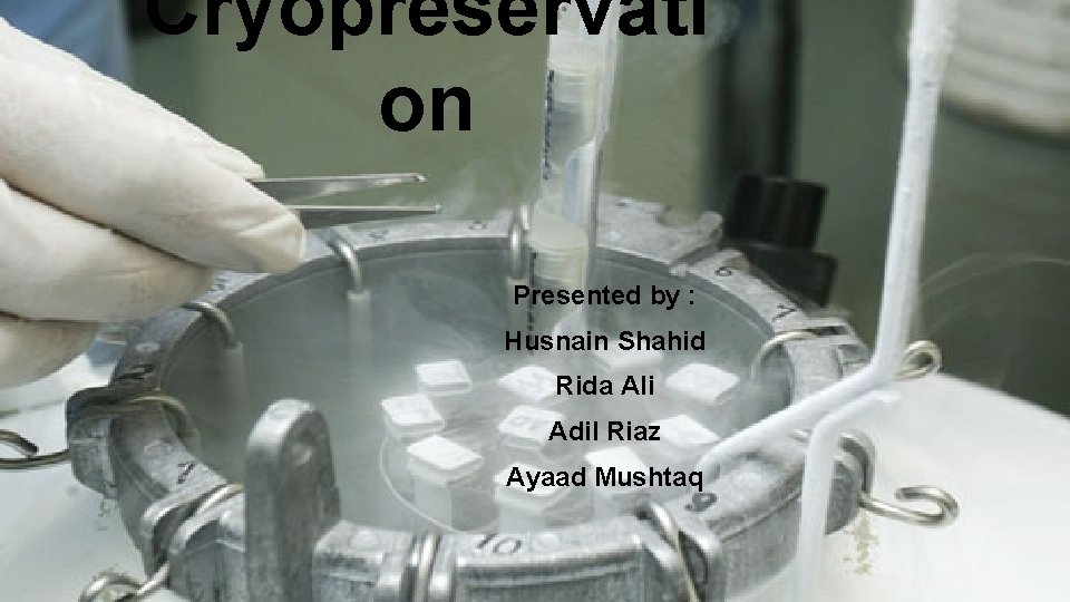 Cryopreservati on Presented by : Husnain Shahid Rida Ali Adil Riaz Ayaad Mushtaq 