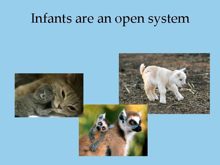 Infants are an open system Infants are an open system