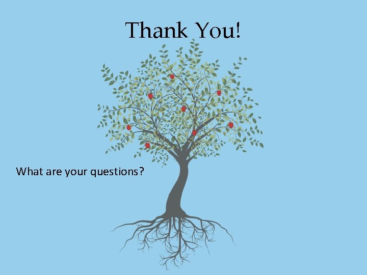 Thank You! What are your questions? Thank You! What are your questions?