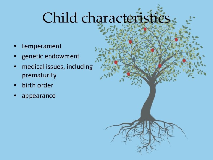 Child characteristics • temperament • genetic endowment • medical issues, including prematurity • birth Child characteristics • temperament • genetic endowment • medical issues, including prematurity • birth