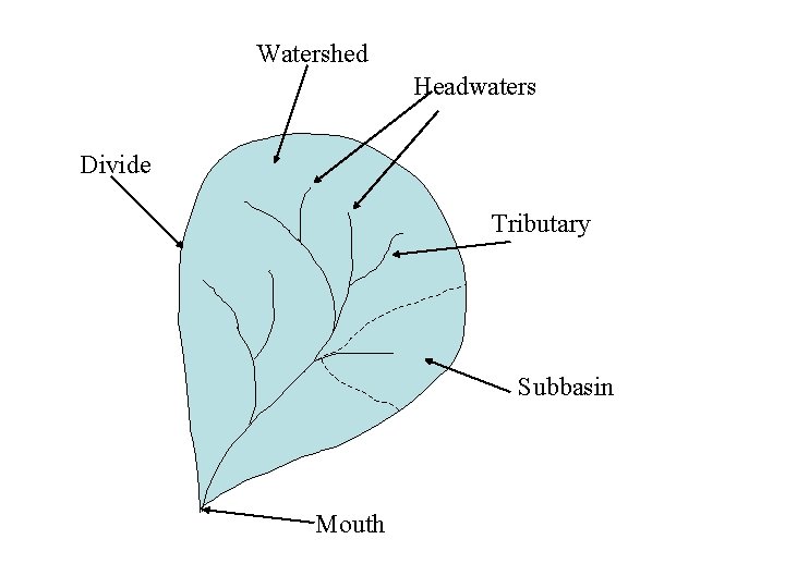 Watershed Headwaters Divide Tributary Subbasin Mouth 