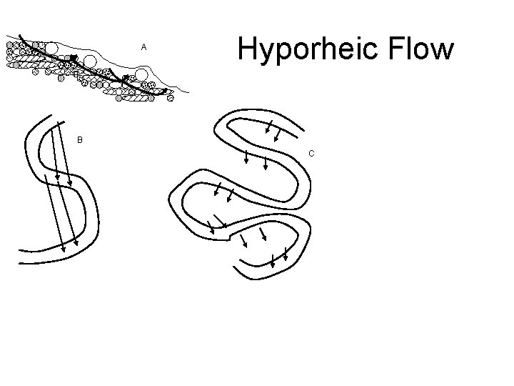 A Hyporheic Flow B C 