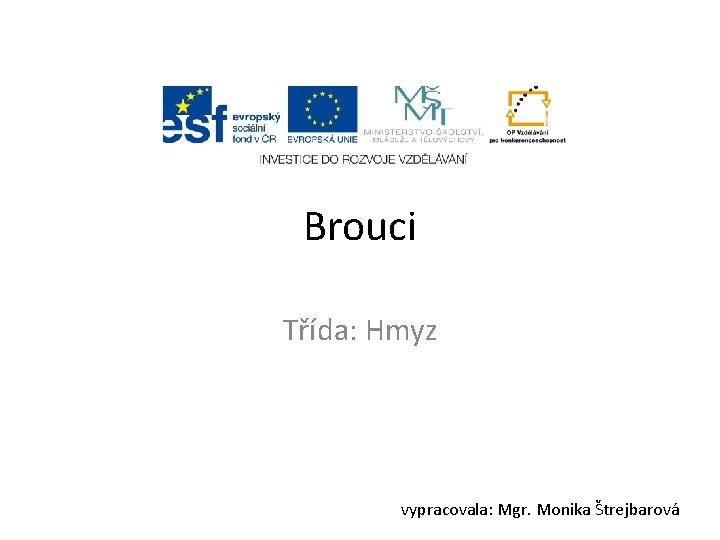 Brouci Třída: Hmyz vypracovala: Mgr. Monika Štrejbarová 