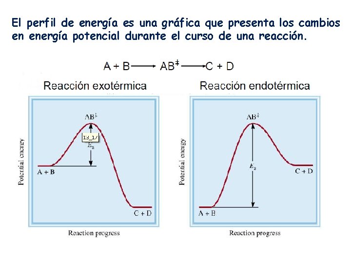 El perfil de energía es una gráfica que presenta los cambios en energía potencial