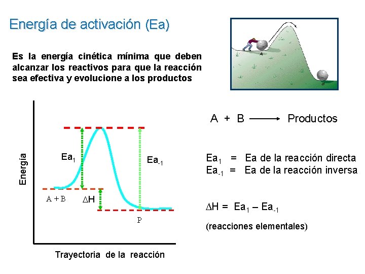 Energía de activación (Ea) Es la energía cinética mínima que deben alcanzar los reactivos