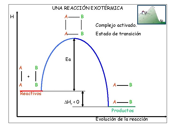 UNA REACCIÓN EXOTÉRMICA H A B Complejo activado. A B Estado de transición Ea