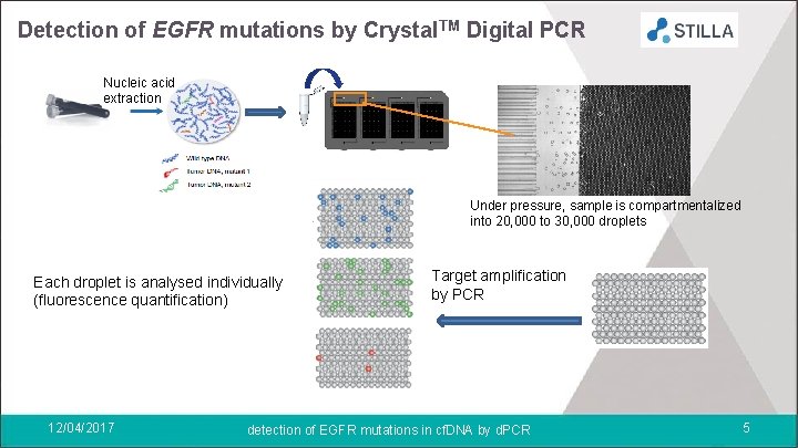 Detection of EGFR mutations by Crystal. TM Digital PCR Nucleic acid extraction Under pressure,