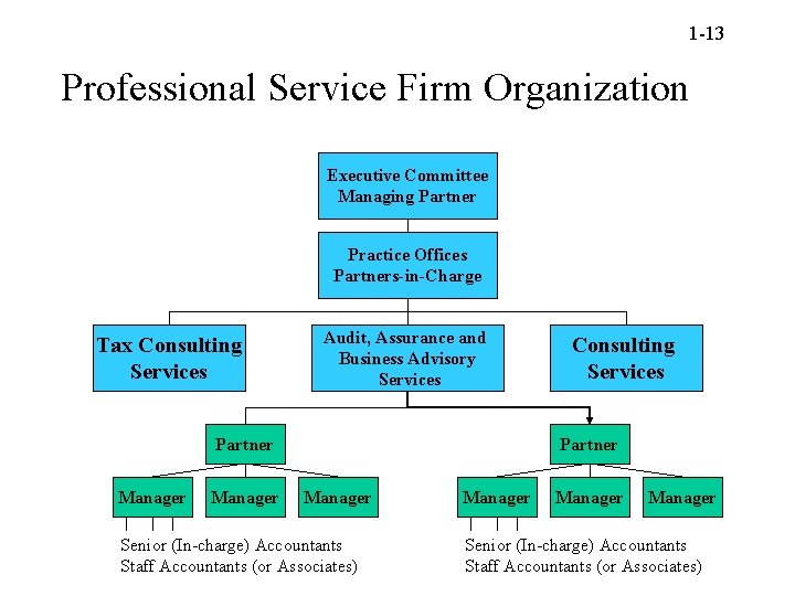 1 -13 Professional Service Firm Organization Executive Committee Managing Partner Practice Offices Partners-in-Charge Tax