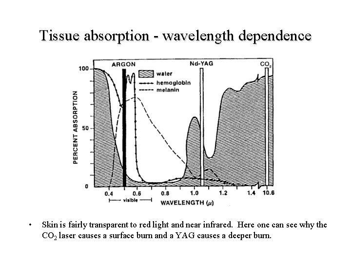 Tissue absorption - wavelength dependence • Skin is fairly transparent to red light and Tissue absorption - wavelength dependence • Skin is fairly transparent to red light and