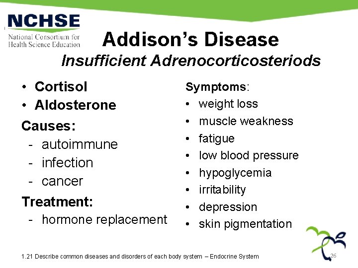 Addison’s Disease Insufficient Adrenocorticosteriods • Cortisol • Aldosterone Causes: - autoimmune - infection -
