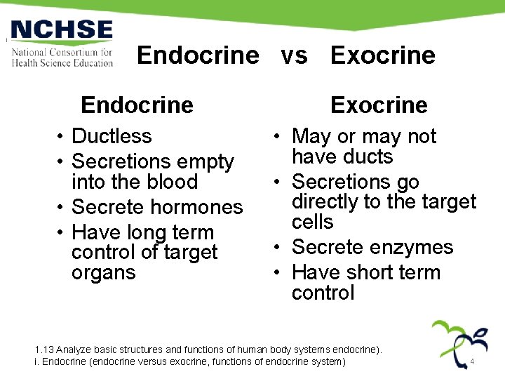 Endocrine vs Exocrine Endocrine • Ductless • Secretions empty into the blood • Secrete