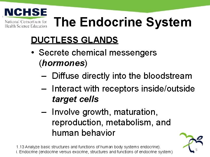 The Endocrine System DUCTLESS GLANDS • Secrete chemical messengers (hormones) – Diffuse directly into