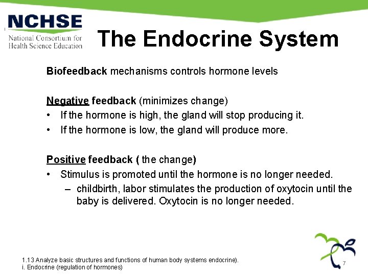 The Endocrine System Biofeedback mechanisms controls hormone levels Negative feedback (minimizes change) • If