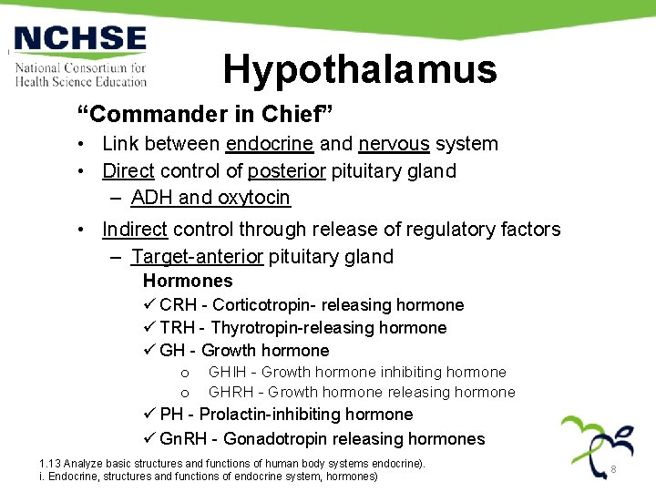 Hypothalamus “Commander in Chief” • Link between endocrine and nervous system • Direct control