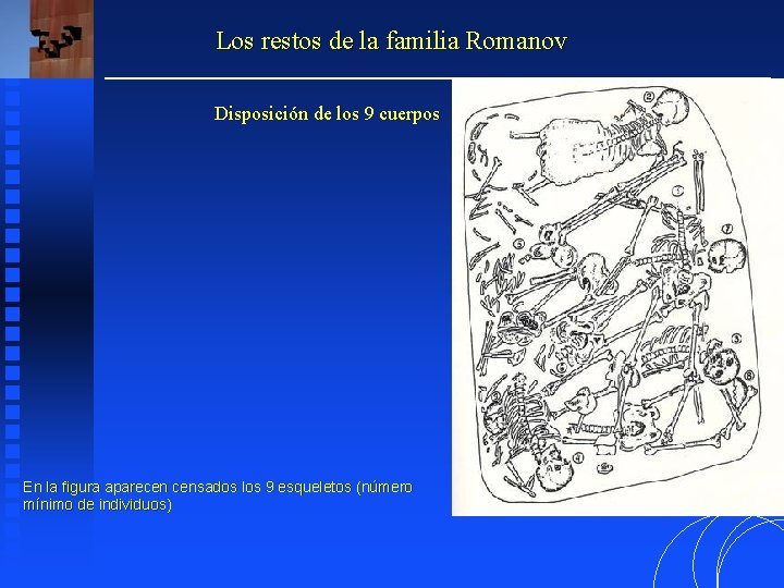 Los restos de la familia Romanov Disposición de los 9 cuerpos En la figura