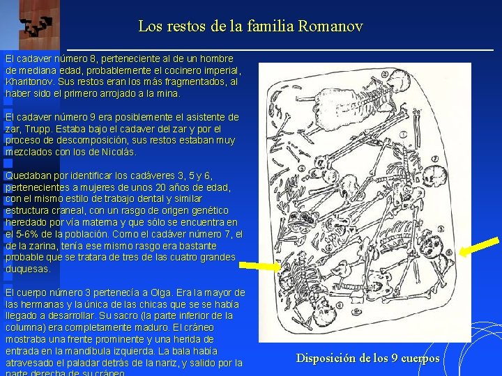 Los restos de la familia Romanov El cadaver número 8, perteneciente al de un