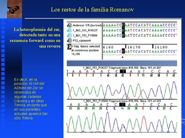 Los restos de la familia Romanov La heteroplasmia del zar, detectada tanto en una