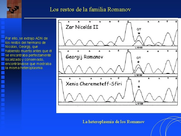 Los restos de la familia Romanov Por ello, se extrajo ADN de los restos