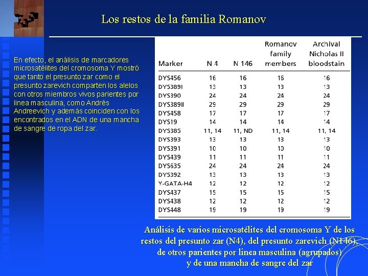 Los restos de la familia Romanov En efecto, el análisis de marcadores microsatélites del