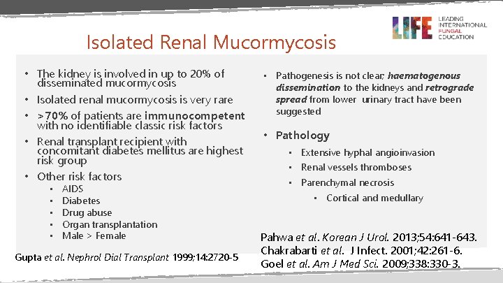 Isolated Renal Mucormycosis • The kidney is involved in up to 20% of disseminated