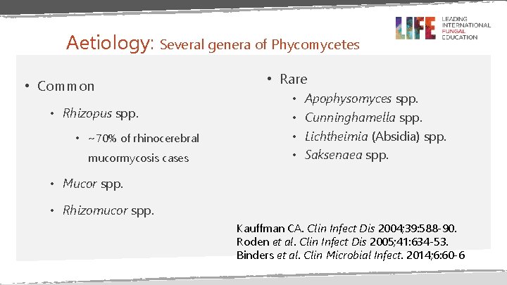 Aetiology: Several genera of Phycomycetes • Common • Rhizopus spp. • ~70% of rhinocerebral