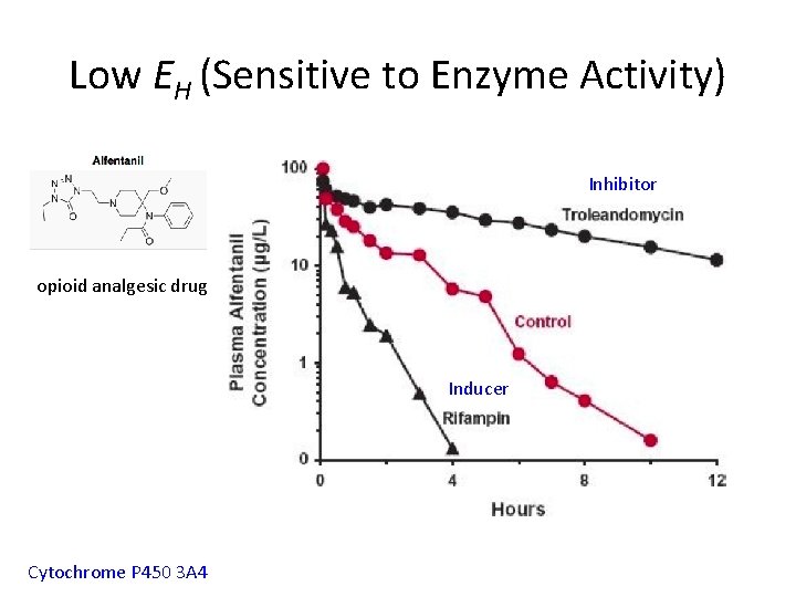 Low EH (Sensitive to Enzyme Activity) Inhibitor opioid analgesic drug Inducer Cytochrome P 450