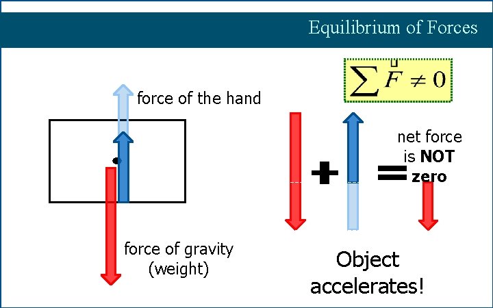 Equilibrium of Forces force of the hand net force is NOT zero force of