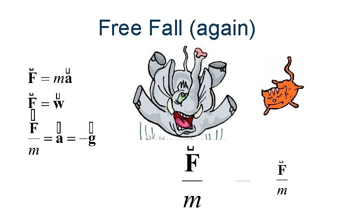 Free Fall (again) 