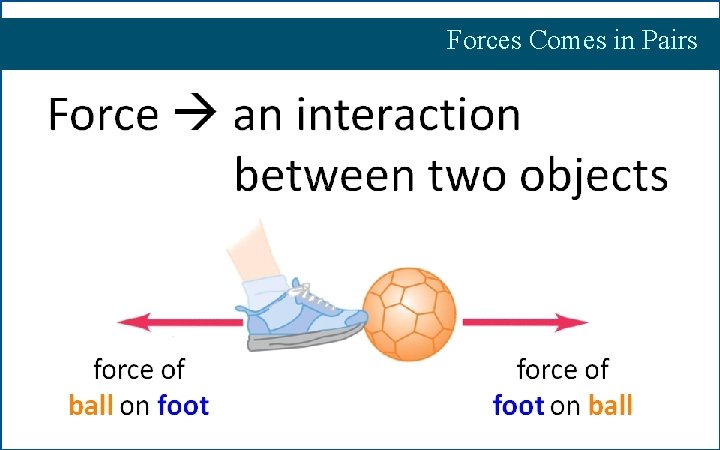 Forces Comes in Pairs 