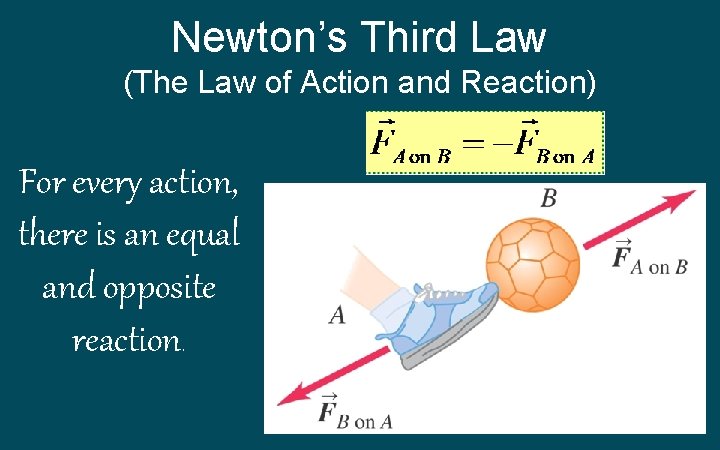Newton’s Third Law (The Law of Action and Reaction) For every action, there is