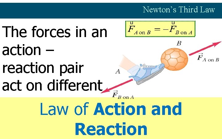 Newton’s Third Law The forces in an action – reaction pair act on different
