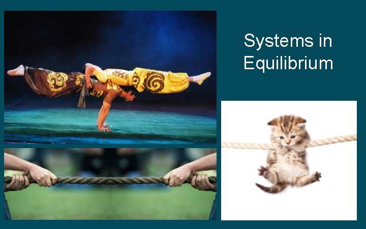 Systems in Equilibrium 