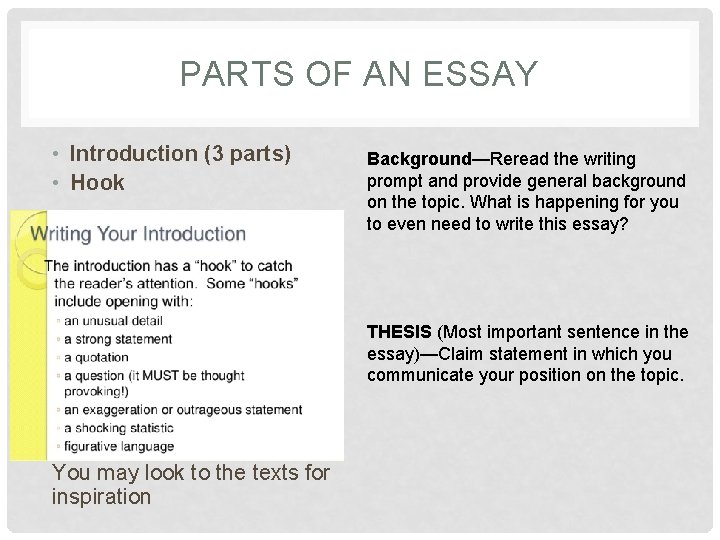 PARTS OF AN ESSAY • Introduction (3 parts) • Hook Background—Reread the writing prompt
