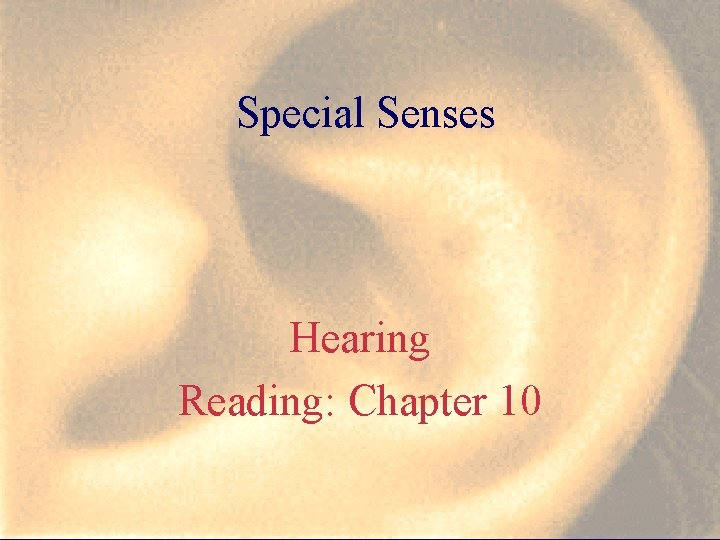 Special Senses Hearing Reading: Chapter 10 