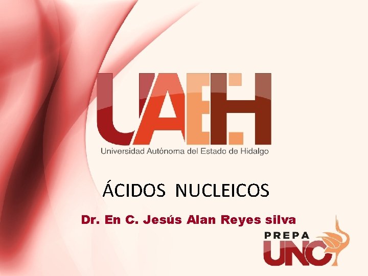 ÁCIDOS NUCLEICOS Dr. En C. Jesús Alan Reyes silva 