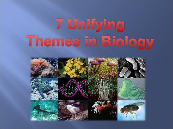 7 Unifying Themes in Biology 