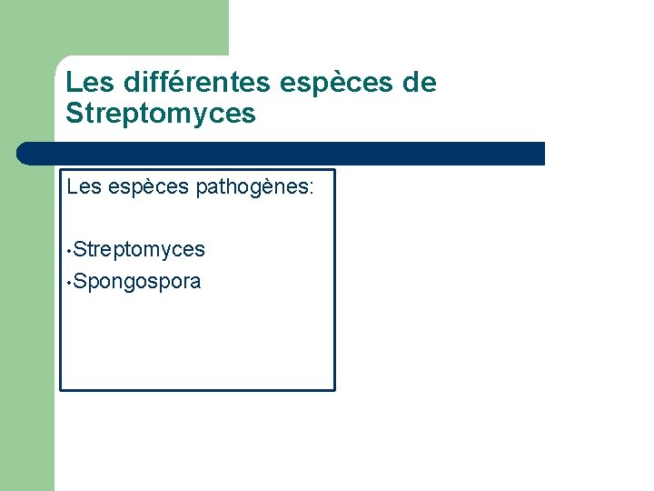 Les différentes espèces de Streptomyces Les espèces pathogènes: • Streptomyces • Spongospora 