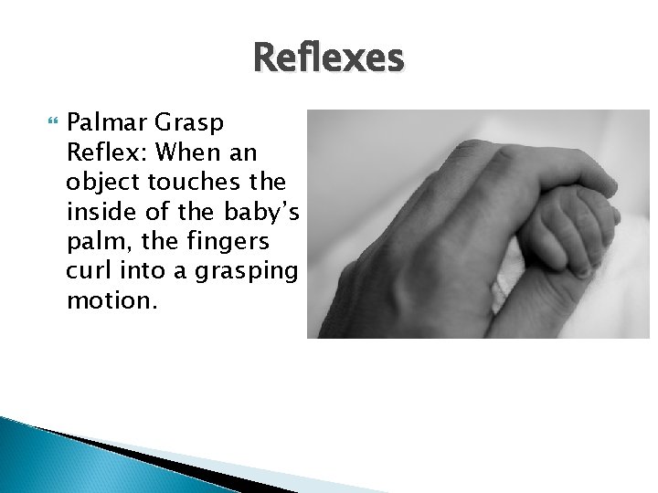 Reflexes Palmar Grasp Reflex: When an object touches the inside of the baby’s palm,