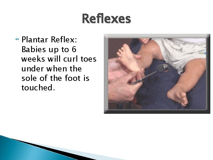 Reflexes Plantar Reflex: Babies up to 6 weeks will curl toes under when the