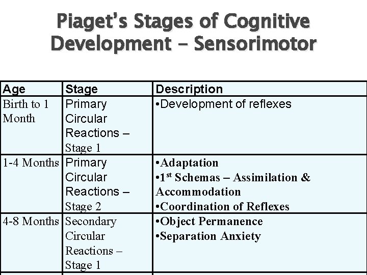 Piaget’s Stages of Cognitive Development - Sensorimotor Age Birth to 1 Month Stage Primary