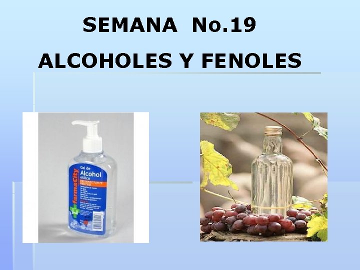 SEMANA No. 19 ALCOHOLES Y FENOLES 