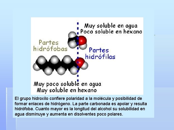 El grupo hidroxilo confiere polaridad a la molécula y posibilidad de formar enlaces de
