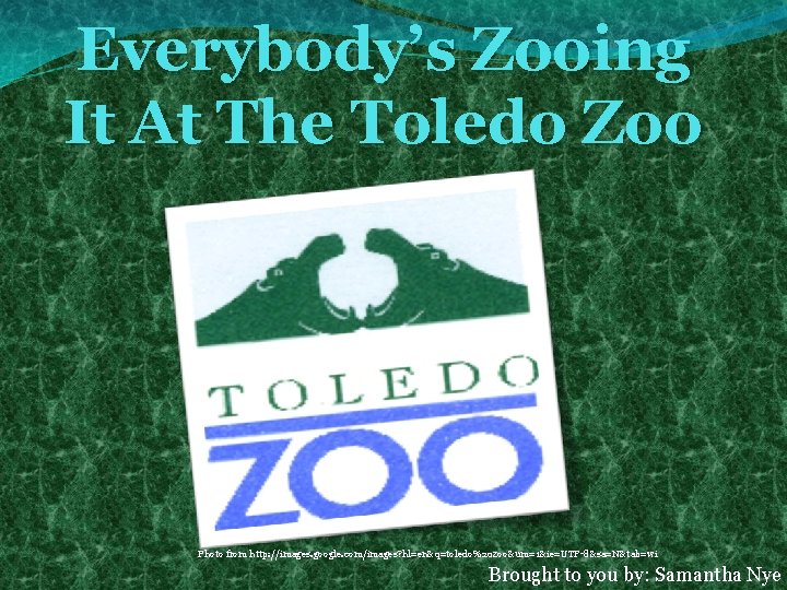 Everybody’s Zooing It At The Toledo Zoo Photo from http: //images. google. com/images? hl=en&q=toledo%20