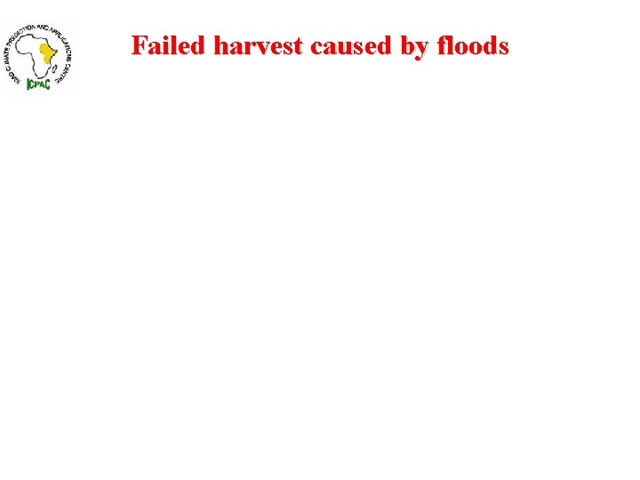 Failed harvest caused by floods 